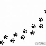 Эскизы тату кошачьи следы от 31.07.2018 №017 - Sketches tattoo cat tracks - tatufoto.com