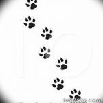 Эскизы тату кошачьи следы от 31.07.2018 №018 - Sketches tattoo cat tracks - tatufoto.com