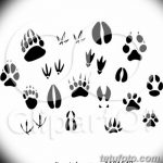 Эскизы тату кошачьи следы от 31.07.2018 №019 - Sketches tattoo cat tracks - tatufoto.com