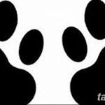 Эскизы тату кошачьи следы от 31.07.2018 №024 - Sketches tattoo cat tracks - tatufoto.com