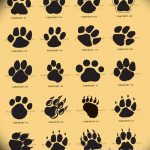 Эскизы тату кошачьи следы от 31.07.2018 №029 - Sketches tattoo cat tracks - tatufoto.com