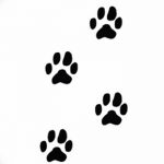 Эскизы тату кошачьи следы от 31.07.2018 №038 - Sketches tattoo cat tracks - tatufoto.com