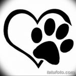 Эскизы тату кошачьи следы от 31.07.2018 №049 - Sketches tattoo cat tracks - tatufoto.com