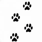 Эскизы тату кошачьи следы от 31.07.2018 №057 - Sketches tattoo cat tracks - tatufoto.com