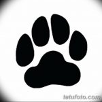 Эскизы тату кошачьи следы от 31.07.2018 №062 - Sketches tattoo cat tracks - tatufoto.com