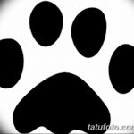 Эскизы тату кошачьи следы от 31.07.2018 №063 - Sketches tattoo cat tracks - tatufoto.com