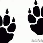 Эскизы тату кошачьи следы от 31.07.2018 №068 - Sketches tattoo cat tracks - tatufoto.com