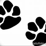 Эскизы тату кошачьи следы от 31.07.2018 №073 - Sketches tattoo cat tracks - tatufoto.com