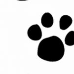 Эскизы тату кошачьи следы от 31.07.2018 №075 - Sketches tattoo cat tracks - tatufoto.com