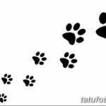 Эскизы тату кошачьи следы от 31.07.2018 №083 - Sketches tattoo cat tracks - tatufoto.com