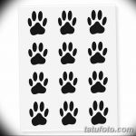 Эскизы тату кошачьи следы от 31.07.2018 №086 - Sketches tattoo cat tracks - tatufoto.com