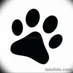 Эскизы тату кошачьи следы от 31.07.2018 №091 - Sketches tattoo cat tracks - tatufoto.com