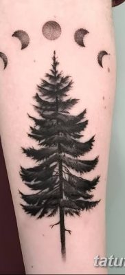 фото тату сосна от 31.07.2018 №001 — tattoo pine — tatufoto.com