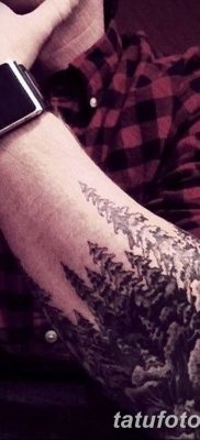 фото тату сосна от 31.07.2018 №003 — tattoo pine — tatufoto.com