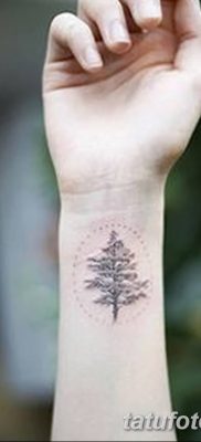 фото тату сосна от 31.07.2018 №005 — tattoo pine — tatufoto.com