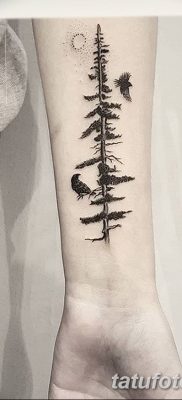 фото тату сосна от 31.07.2018 №007 — tattoo pine — tatufoto.com