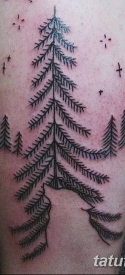 фото тату сосна от 31.07.2018 №008 — tattoo pine — tatufoto.com