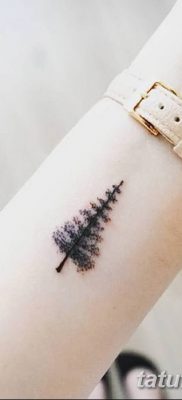 фото тату сосна от 31.07.2018 №009 — tattoo pine — tatufoto.com