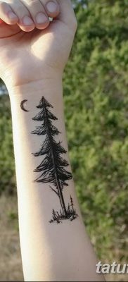 фото тату сосна от 31.07.2018 №010 — tattoo pine — tatufoto.com