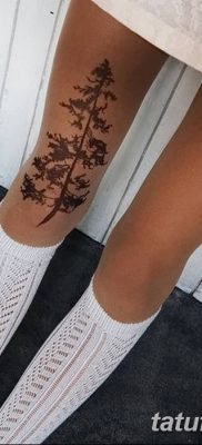 фото тату сосна от 31.07.2018 №011 — tattoo pine — tatufoto.com
