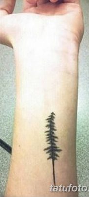 фото тату сосна от 31.07.2018 №012 — tattoo pine — tatufoto.com
