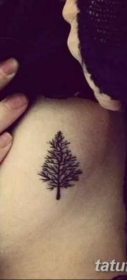 фото тату сосна от 31.07.2018 №016 — tattoo pine — tatufoto.com