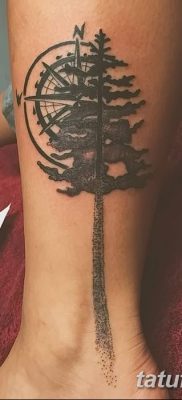 фото тату сосна от 31.07.2018 №019 — tattoo pine — tatufoto.com
