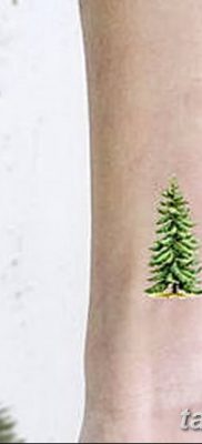 фото тату сосна от 31.07.2018 №083 — tattoo pine — tatufoto.com