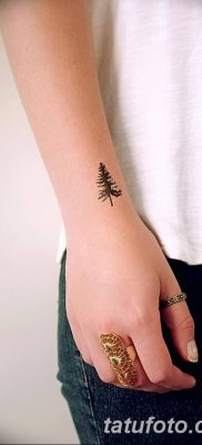 фото тату сосна от 31.07.2018 №084 — tattoo pine — tatufoto.com