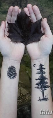 фото тату сосна от 31.07.2018 №087 — tattoo pine — tatufoto.com