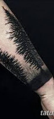 фото тату сосна от 31.07.2018 №088 — tattoo pine — tatufoto.com