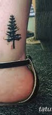 фото тату сосна от 31.07.2018 №089 — tattoo pine — tatufoto.com