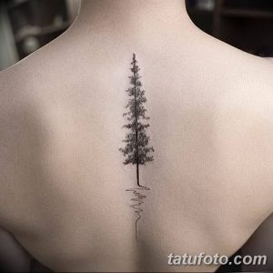 Фото тату сосны и кардиограммы на спине. Черно-белый рисунок татуировки сочетает изображение дерева и линии сердечного ритма.