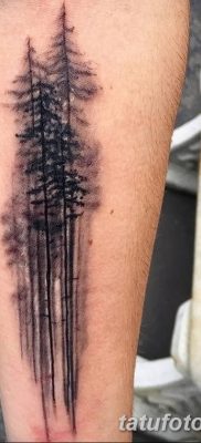 фото тату сосна от 31.07.2018 №094 — tattoo pine — tatufoto.com