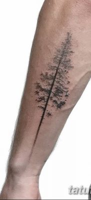 фото тату сосна от 31.07.2018 №103 — tattoo pine — tatufoto.com