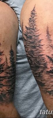 фото тату сосна от 31.07.2018 №104 — tattoo pine — tatufoto.com