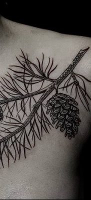 фото тату сосна от 31.07.2018 №105 — tattoo pine — tatufoto.com