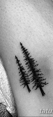 фото тату сосна от 31.07.2018 №106 — tattoo pine — tatufoto.com