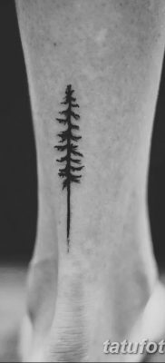 фото тату сосна от 31.07.2018 №107 — tattoo pine — tatufoto.com