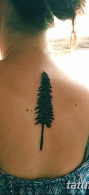 фото тату сосна от 31.07.2018 №111 — tattoo pine — tatufoto.com