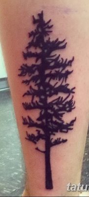 фото тату сосна от 31.07.2018 №114 — tattoo pine — tatufoto.com
