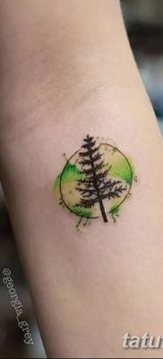фото тату сосна от 31.07.2018 №115 — tattoo pine — tatufoto.com