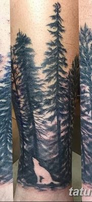 фото тату сосна от 31.07.2018 №116 — tattoo pine — tatufoto.com