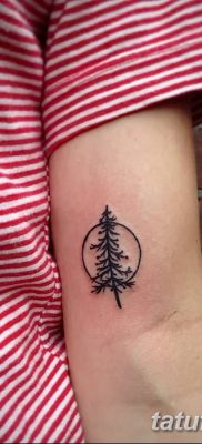 фото тату сосна от 31.07.2018 №118 — tattoo pine — tatufoto.com