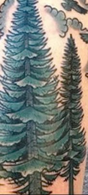 фото тату сосна от 31.07.2018 №120 — tattoo pine — tatufoto.com