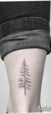 фото тату сосна от 31.07.2018 №122 — tattoo pine — tatufoto.com