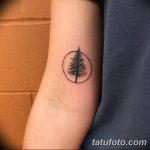 фото тату сосна от 31.07.2018 №123 - tattoo pine - tatufoto.com