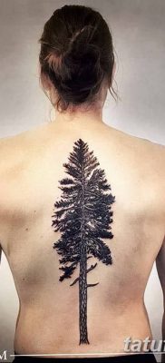 фото тату сосна от 31.07.2018 №125 — tattoo pine — tatufoto.com