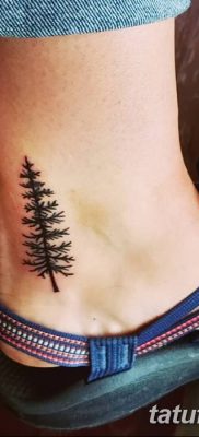 фото тату сосна от 31.07.2018 №129 — tattoo pine — tatufoto.com