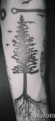 фото тату сосна от 31.07.2018 №133 — tattoo pine — tatufoto.com